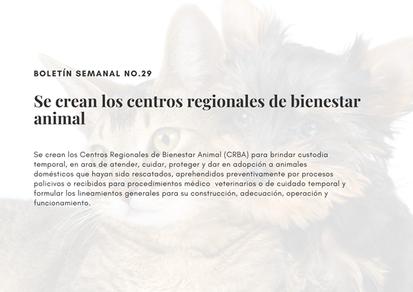 Noticia2 Ambientalex 21082025