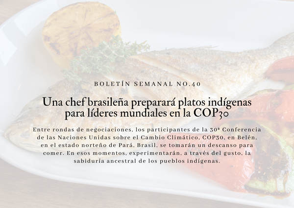 Noticia2 Ambientalex 29102025