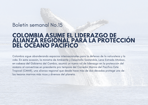 Noticia3 Ambientalex 07052025