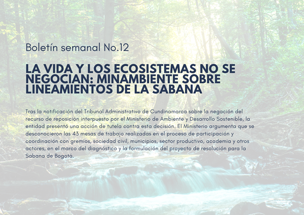 Noticia3 Ambientalex 09042025
