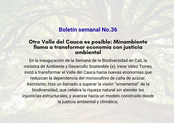 Noticia3 Ambientalex 11102025