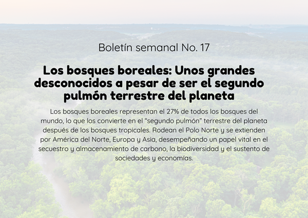 Noticia3 Ambientalex 12052025