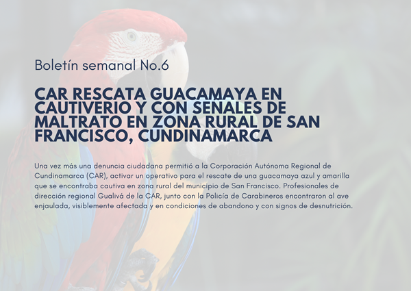 Noticia3 Ambientalex 25022025