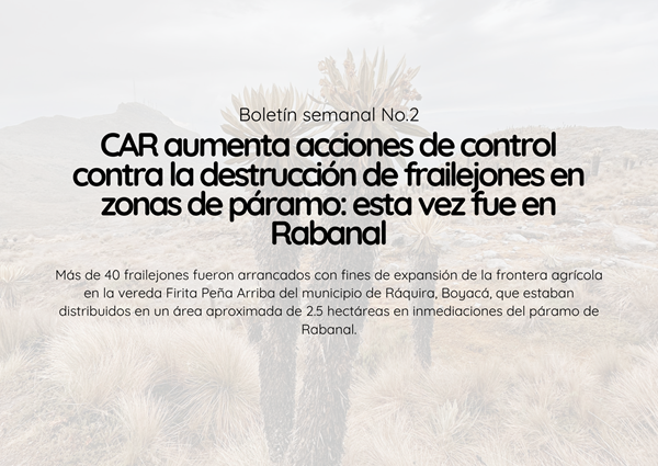 Noticia3 Ambientalex 29012025
