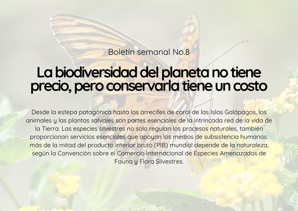 Noticia4 Ambientalex 13032025