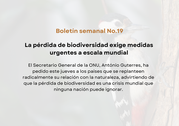 Noticia4 Ambientalex 26052025