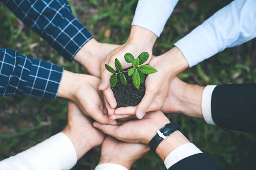 EL Sistema de Gestión Ambiental alcanza el Nivel Elite del Programa de Excelencia Ambiental Distrital