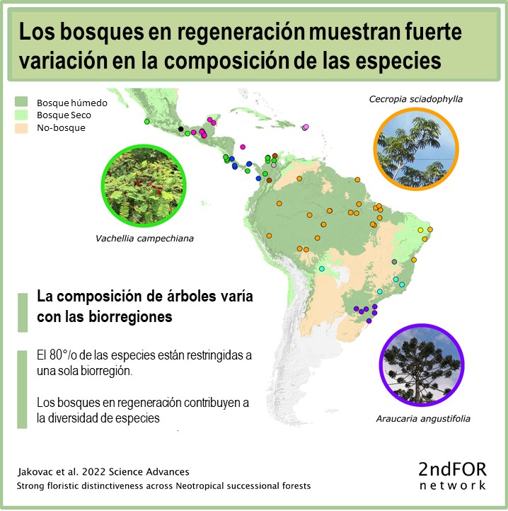 2ndFOR_FloristicComposition_Image.jpg
