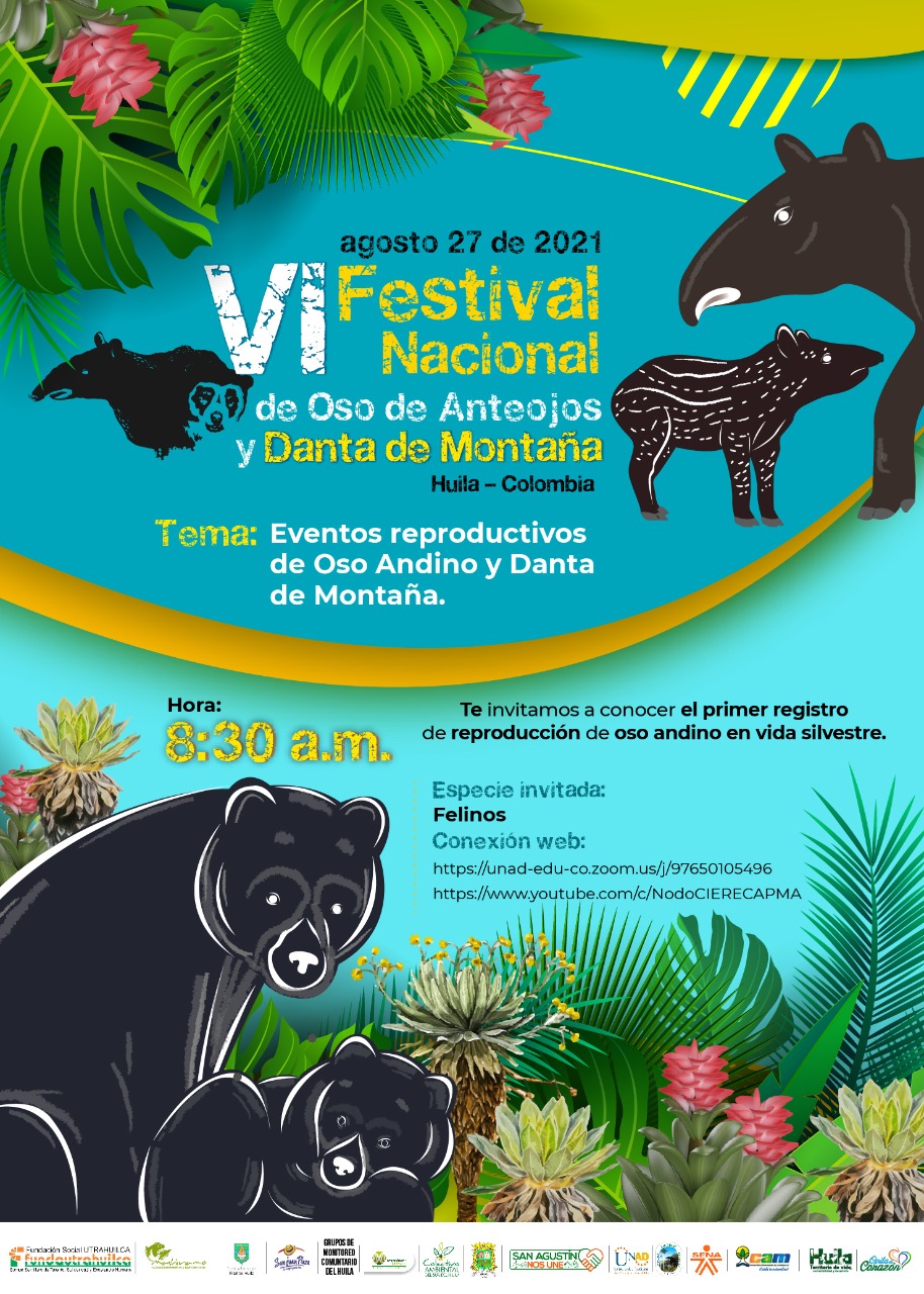 Afiche Festival