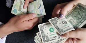 Experto de la UNAD se refiere, en EL ESPECTADOR, a la dinámica del dólar