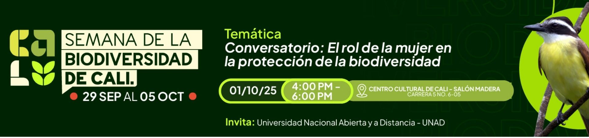 Dialogo el rol de la mujer