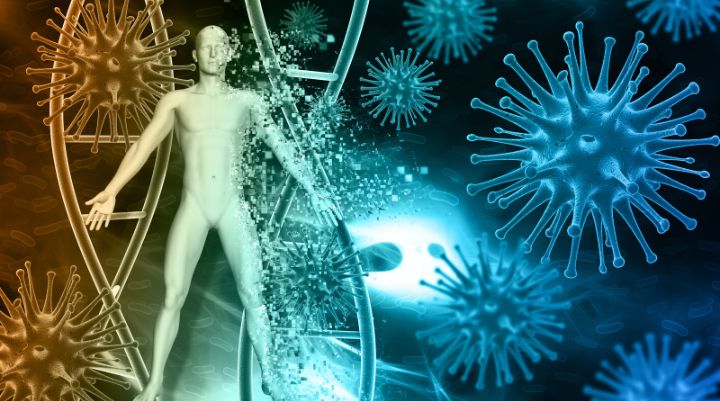 El sistema inmune toma clases de ingeniería: la revolución de las CAR-NK