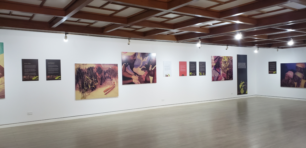 Galeria Afrocolombianidad