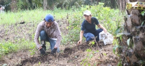 Semillero Unadista investiga el impacto de la materia orgánica en suelos cultivados con palma de aceite