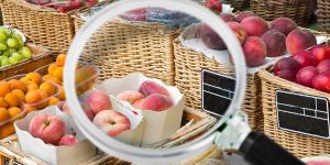 Experto unadista habla, en Infobae, sobre la inseguridad alimentaria en Colombia