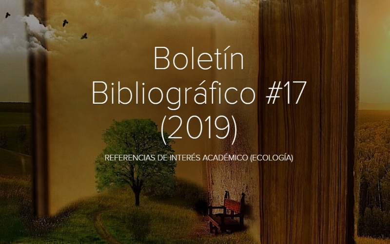 BoletIn 17