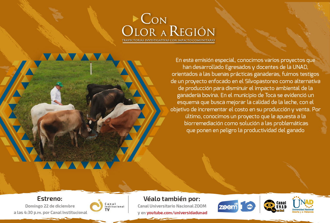 piezaoloraregion22dic