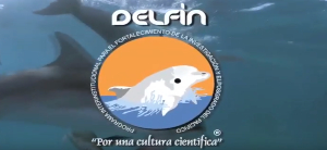 Estudiantes de semilleros de investigación de la UNAD participan en el Programa Delfín de México