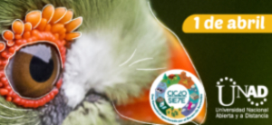 Charla sobre bienestar animal y su responsabilidad ética con el medio ambiente