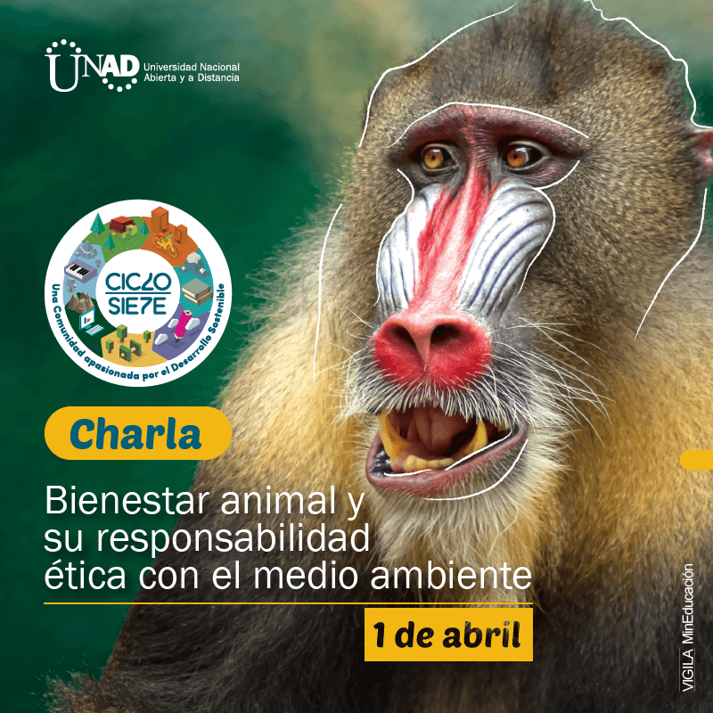 redescharlabienestaranimal 1