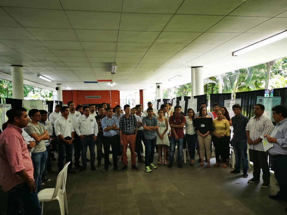 II Encuentro Académico Regional REDIS Nodo Sur Oriente: Innovación e Investigación con arraigo regional