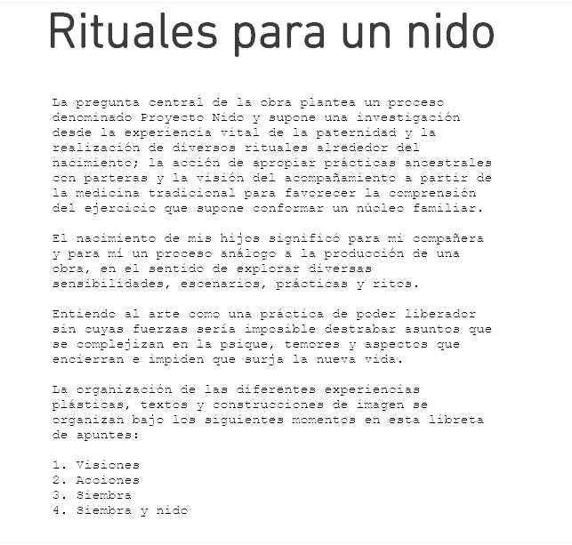 Raúl Expo Final