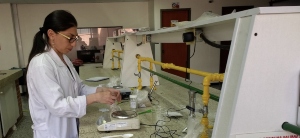 La UNAD participa del proyecto BioResilience para la resistencia de los ecosistemas forestales colombianos