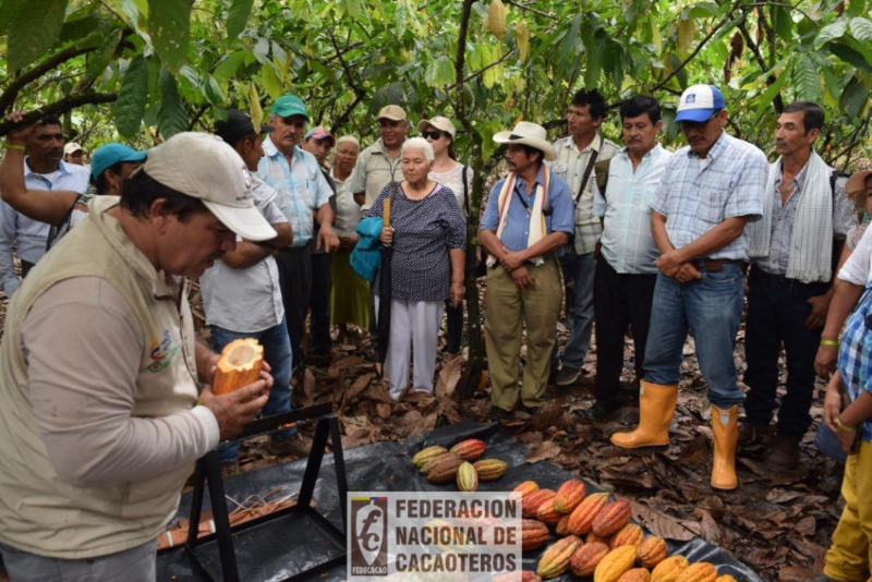La UNAD firmó una alianza con FEDECACAO para beneficiar a 52.000 familias cacaoteras 