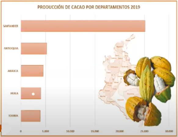 tabla cacao