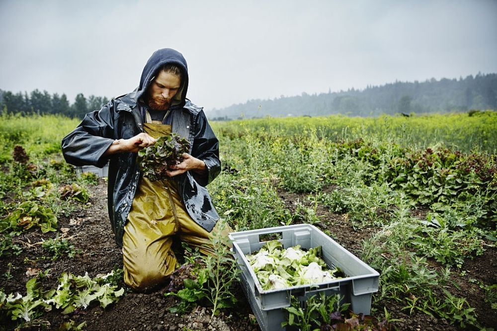 #Agrojusto y #EmprendedoresUnadistas, las campañas solidarias de la VIDER