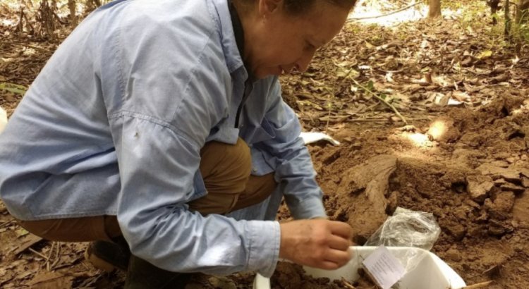 bioresilience