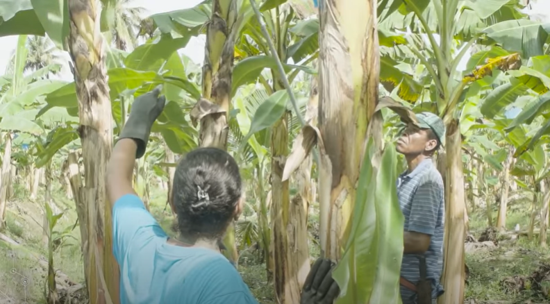 CampoUNAD logró  la habilitación de la UNAD como Entidad Prestadora de Servicio de Extensión Agropecuaria