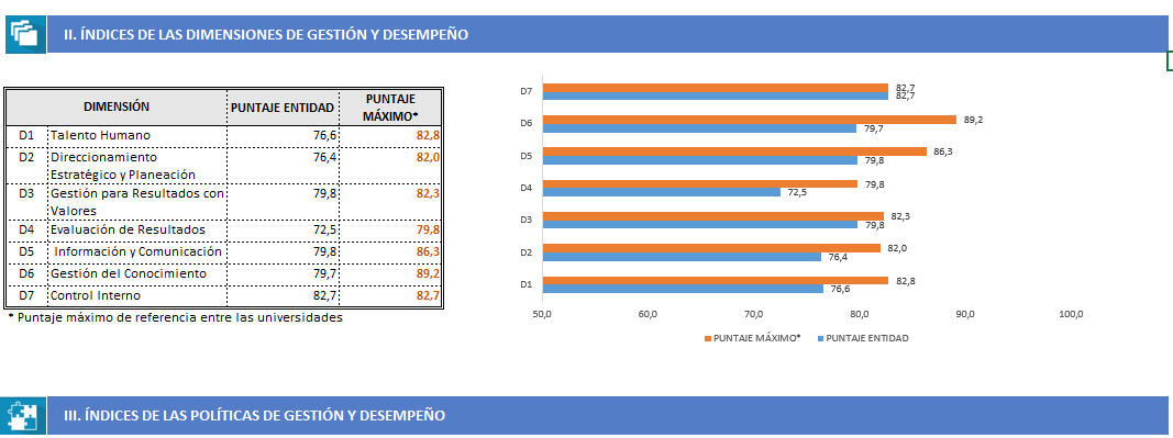 Dimensiones de desempeño 2