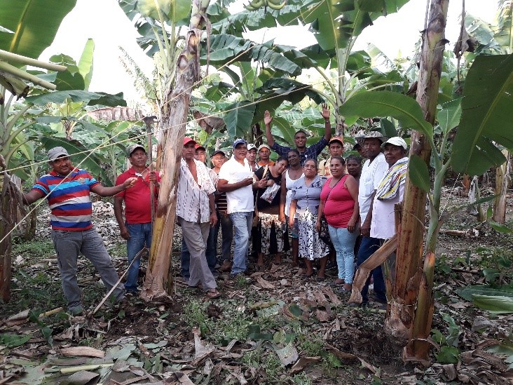 CAMPOUNAD y su impacto en las regiones