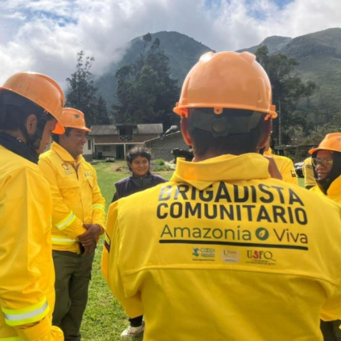 Programa Amazonía+ reabre convocatoria de investigación hasta febrero de 2026