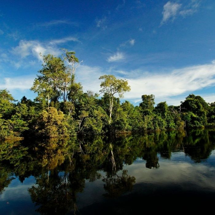 UNAD publica resultados de la Convocatoria de Investigación del Programa Amazonía+