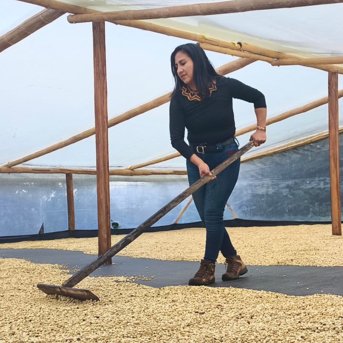 Luz Amparo Samboni: Talento Unadista que transforma su territorio desde la caficultura indígena
