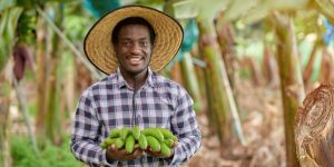 Elite Force Agro-Tech, solución unadista que innova en el sector bananero  