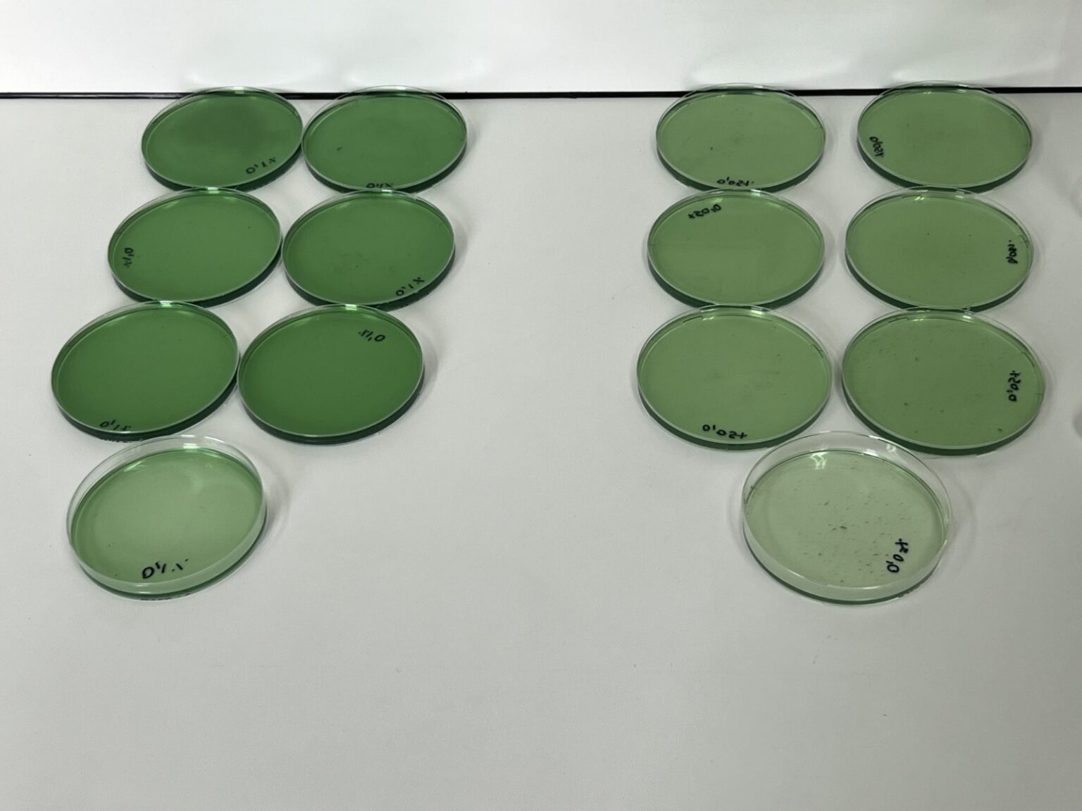 WhatsApp Image 2026 02 04 at 11.29.38 PM 1536x1152