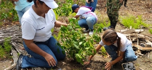 Unadistas de Puerto Colombia se unen a jornada de limpieza y reforestación de manglares en el Día de la Tierra