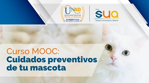 Youtube cuidados mascota 01 1