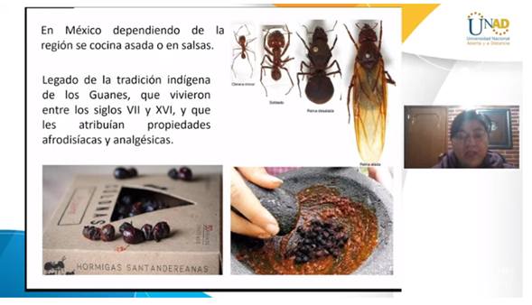 evento alimentos
