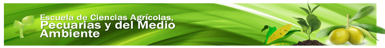 Banner superior ECAPMA