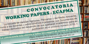 Convocatoria Working Papers  ECAPMA