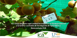 Unidad de investigación en Fitomejoramiento de la UNAD es reconocida por el ICA mediante resolución 00017693  