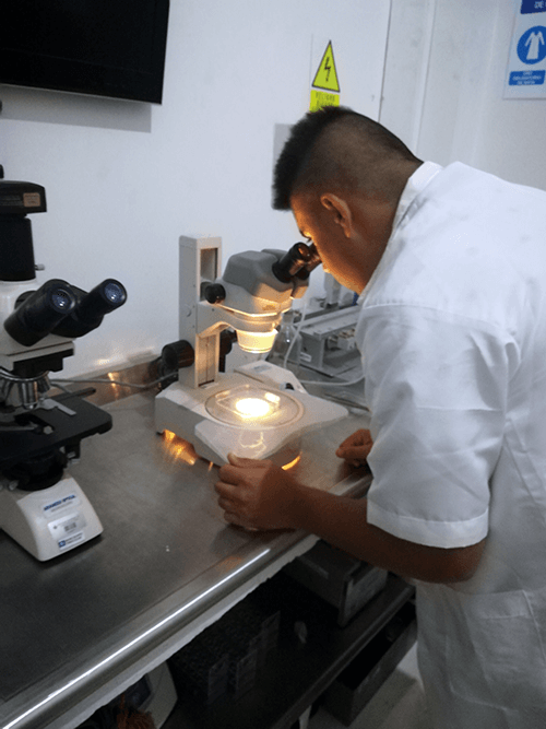 Lab