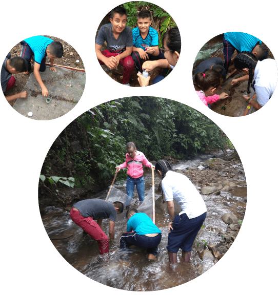 macroinvertebravoss