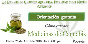 Orientación gratuita: Cómo extraer Medicinas de Cannabis