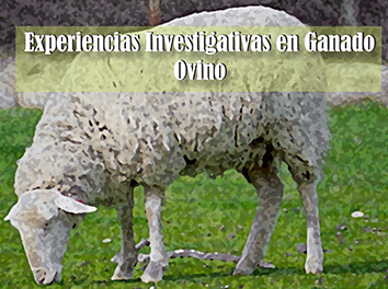 Experiencias Investigativas en Ganado Ovino en el Municipio de Sandiego, Cesar