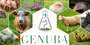 Creación del semillero: “Grupo de Estudios en Nutrición y Bioquímica Animal – GENUBA”